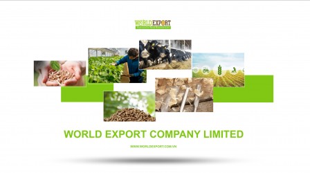 Worldexport Co. Ltd